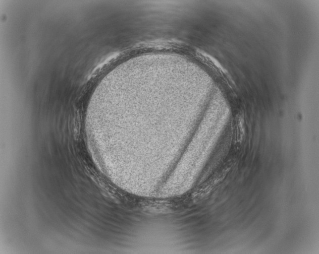 X0000087691158200706011712