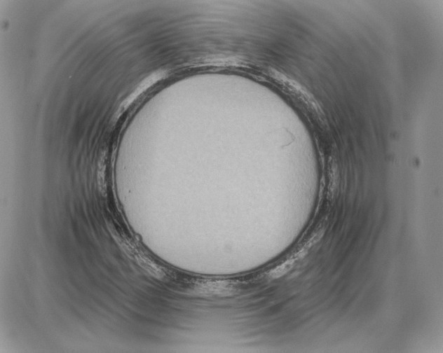 X0000087691162200706011712
