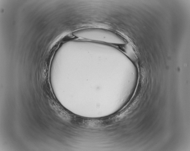 X0000087691163200706011712