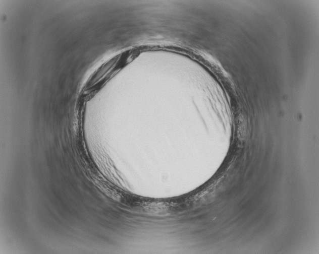 X0000087691167200706011712