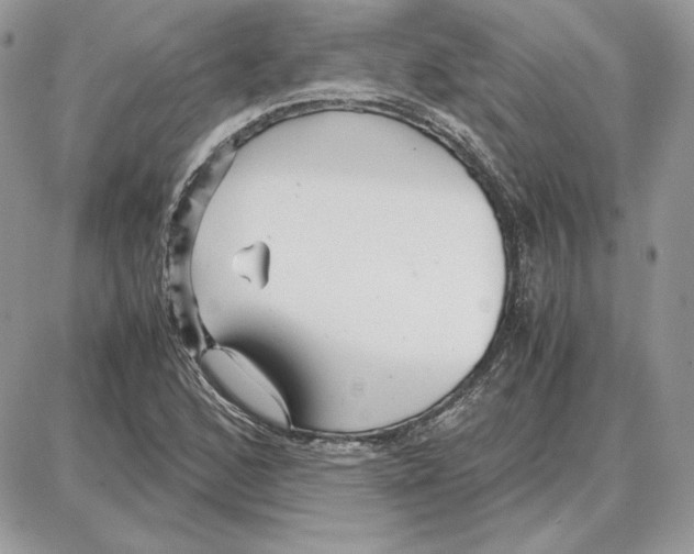 X0000087691168200706011712