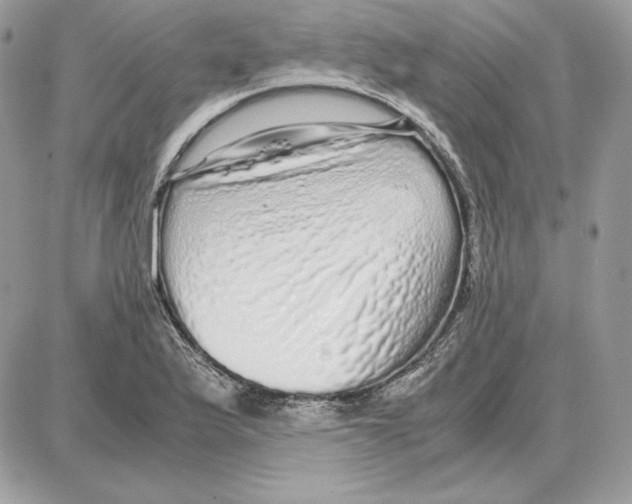 X0000087691175200706011712