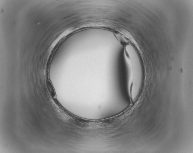 X0000087691181200706011711