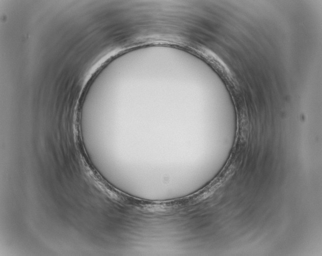X0000087691182200706011711