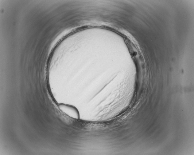 X0000087691183200706011711