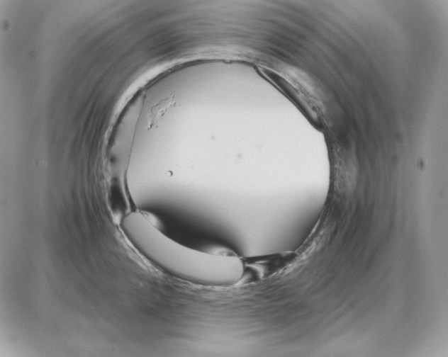 X0000087691192200706011711