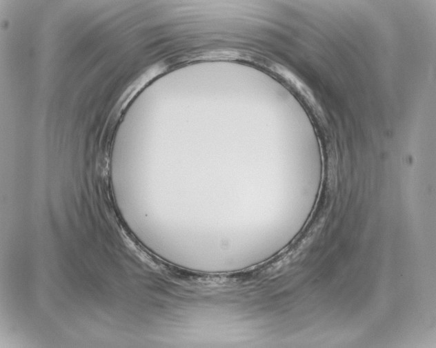 X0000087691193200706011711