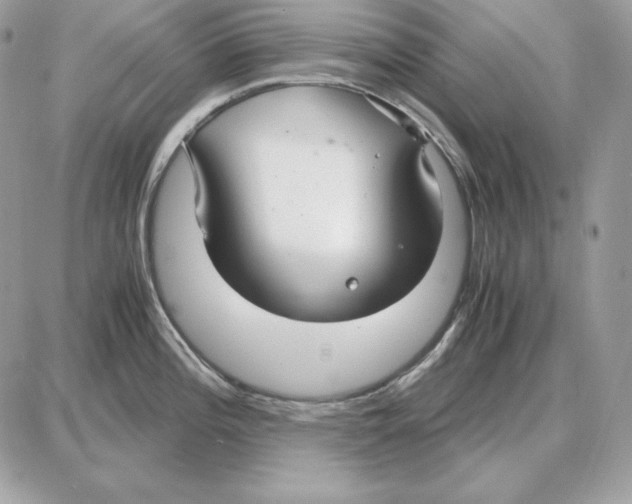 X0000087691196200706011711