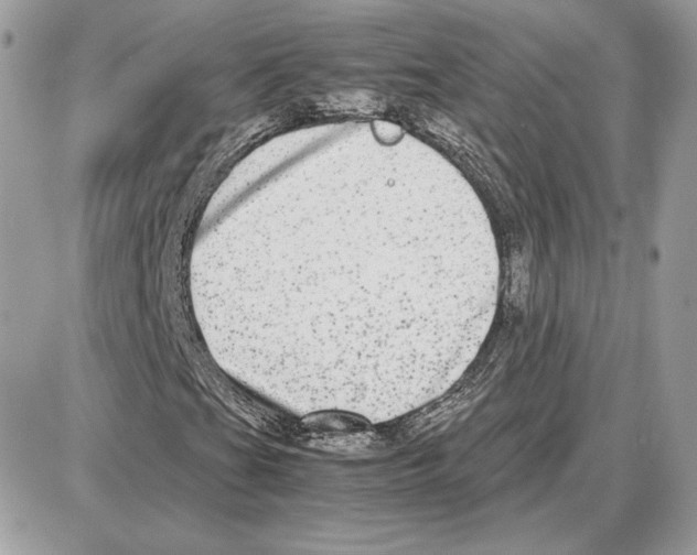 X0000087691201200706011710