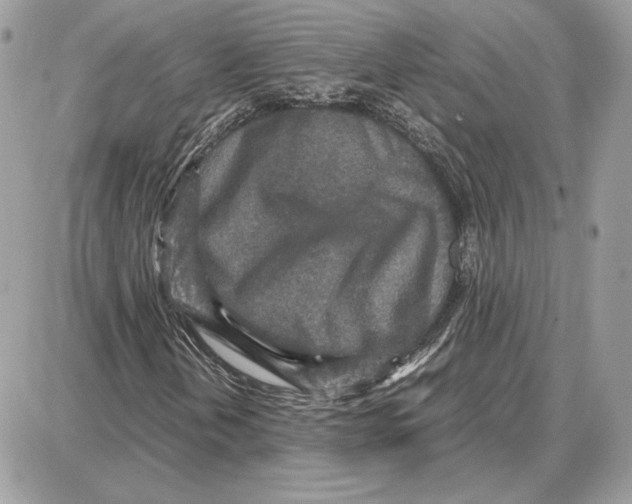 X0000087691202200706011710