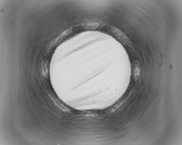 X0000087691204200706011710