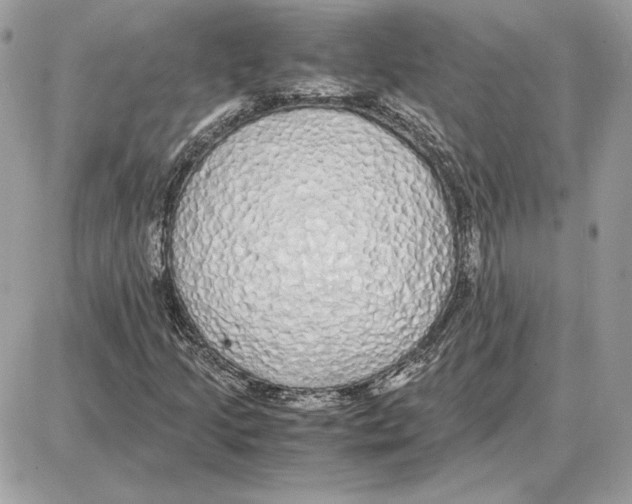 X0000087691205200706011710