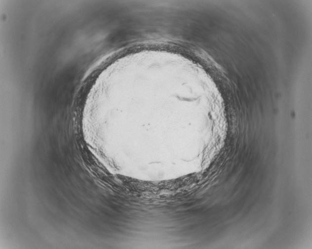 X0000087691208200706011710
