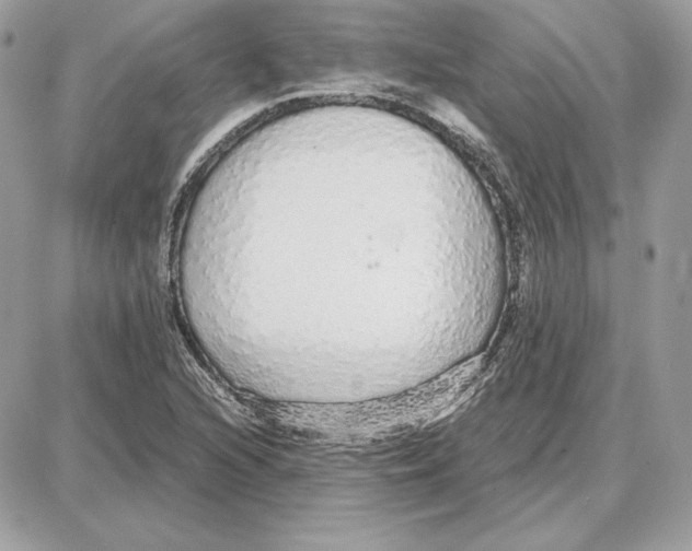 X0000087691216200706011711
