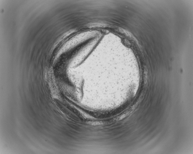 X0000087691217200706011711