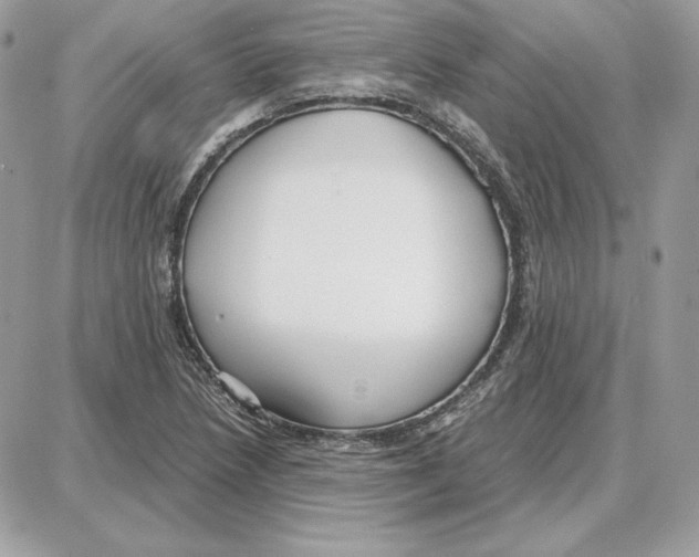 X0000087691218200706011711