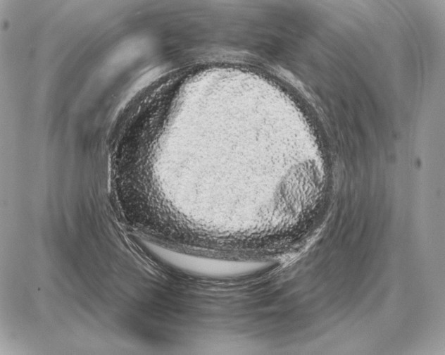 X0000087691219200706011711