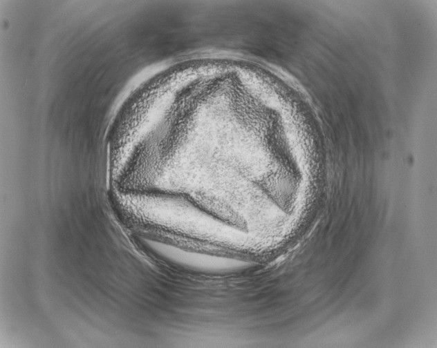 X0000087691223200706011711