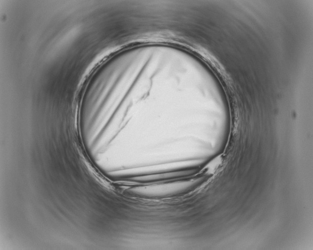 X0000087691224200706011711
