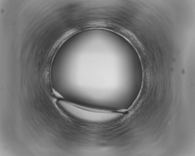 X0000087691225200706011711