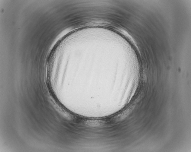 X0000087691227200706011711