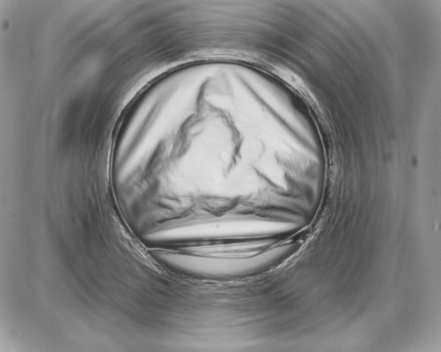 X0000087691228200706011711