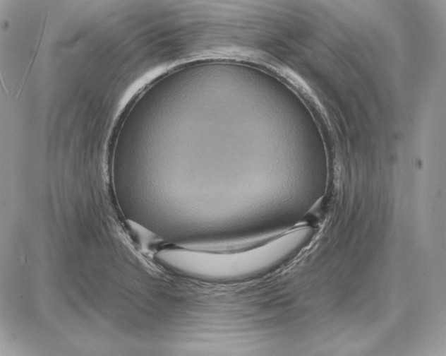 X0000087691230200706011711