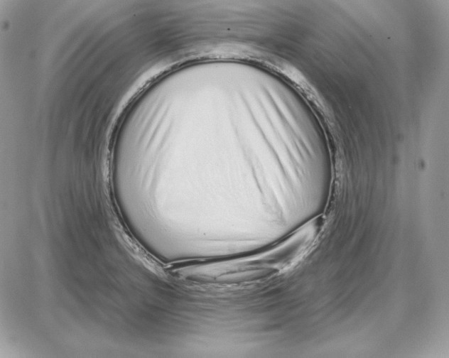 X0000087691232200706011711