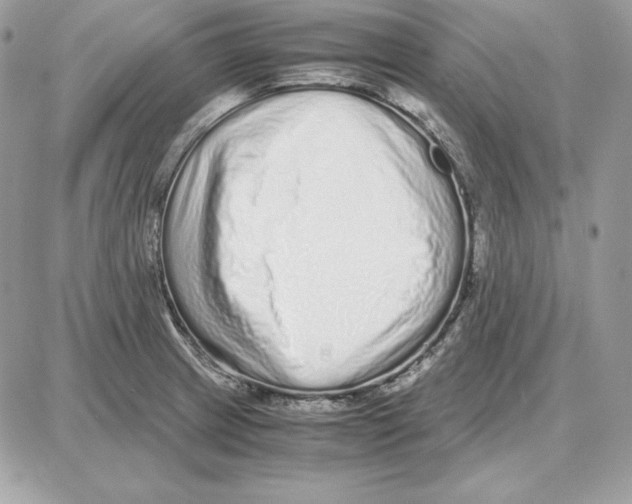 X0000087691233200706011711