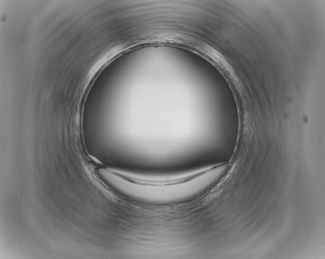 X0000087691234200706011711