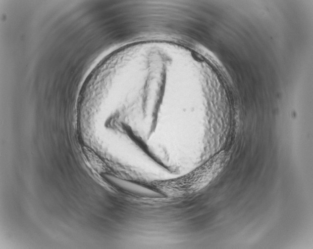 X0000087691236200706011711