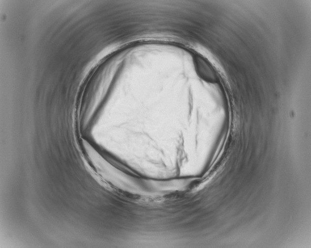 X0000087691237200706011711