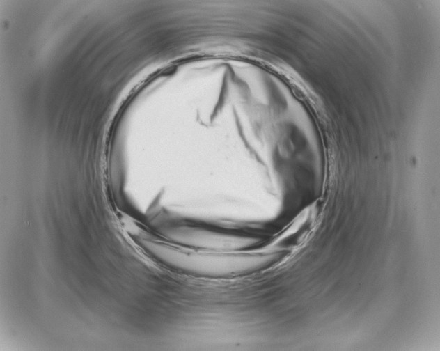 X0000087691240200706011711