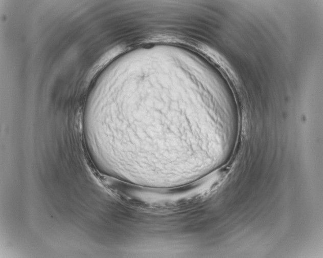 X0000087691241200706011711