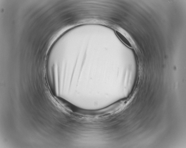 X0000087691244200706011711