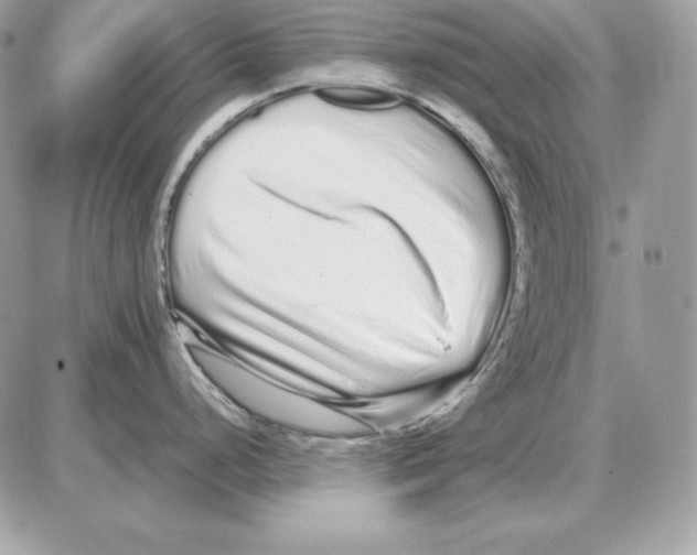 X0000087691248200706011711