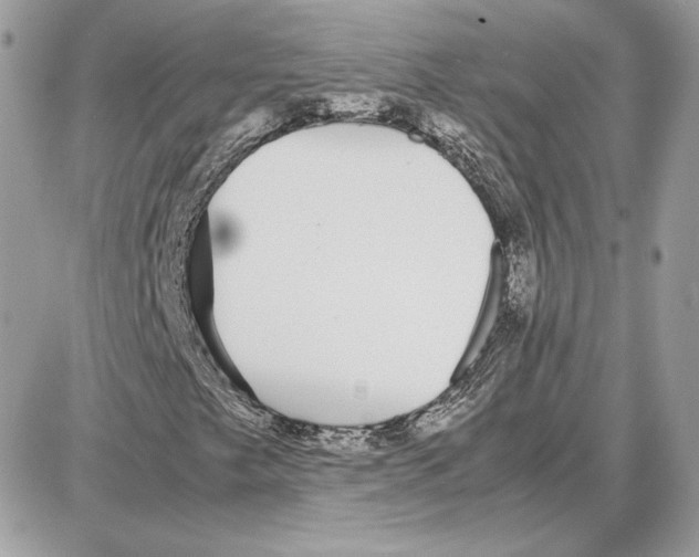 X0000087691249200706011710