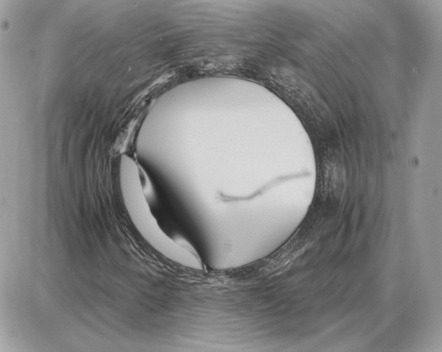X0000087691250200706011710