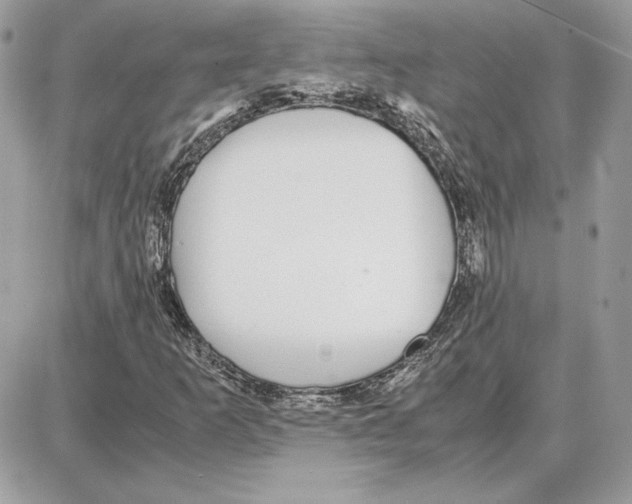 X0000087691253200706011710