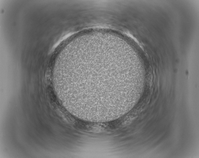 X0000087691255200706011710