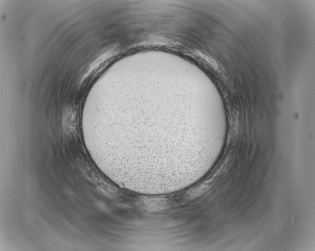 X0000087691258200706011710