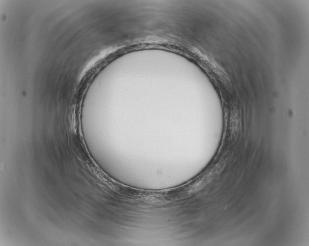 X0000087691262200706011710