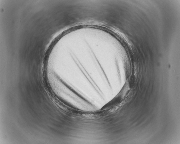 X0000087691264200706011710