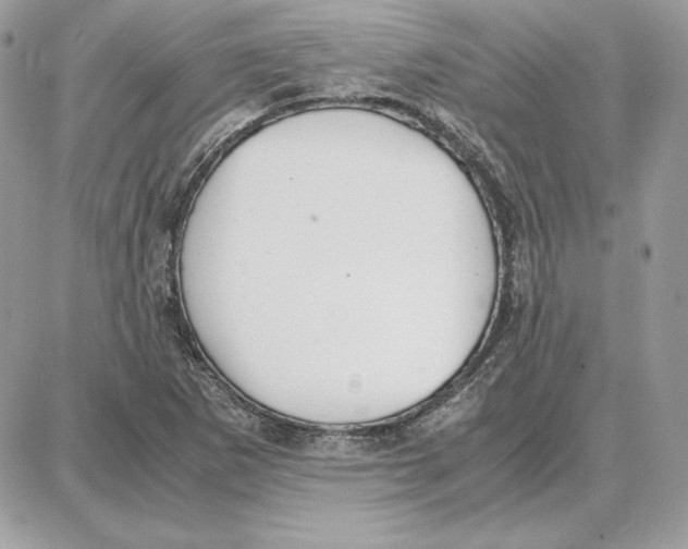 X0000087691265200706011710