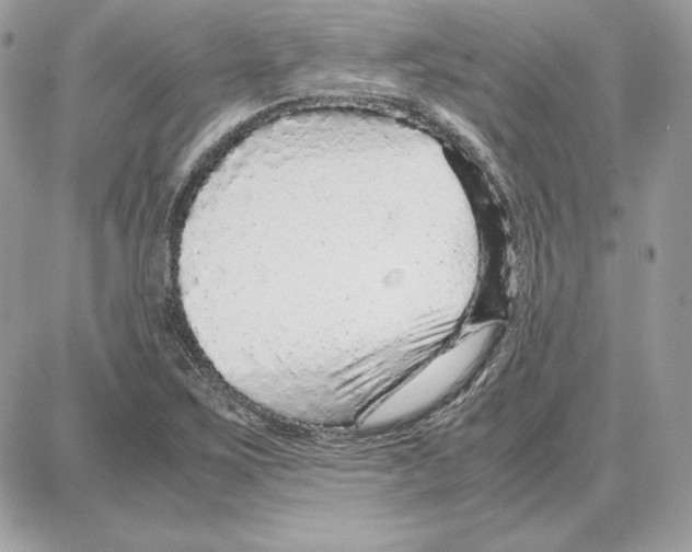 X0000087691267200706011710