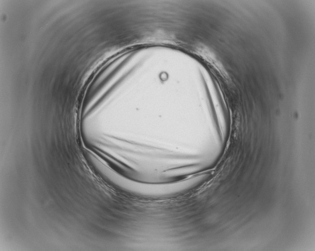X0000087691268200706011710
