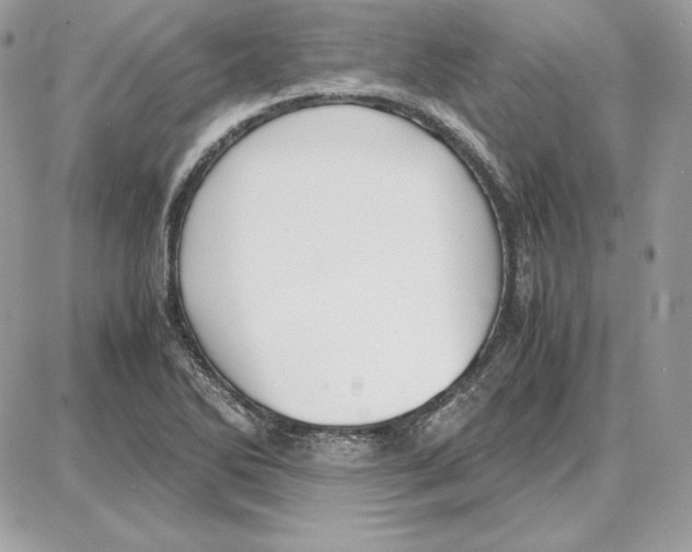 X0000087691270200706011710