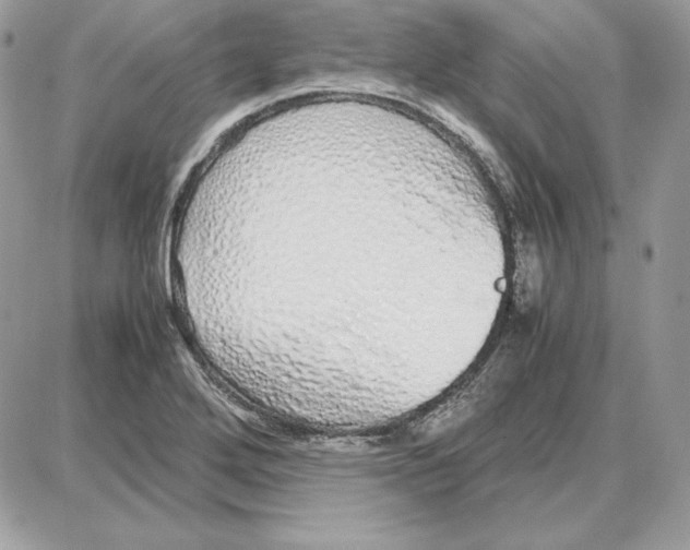 X0000087691272200706011710
