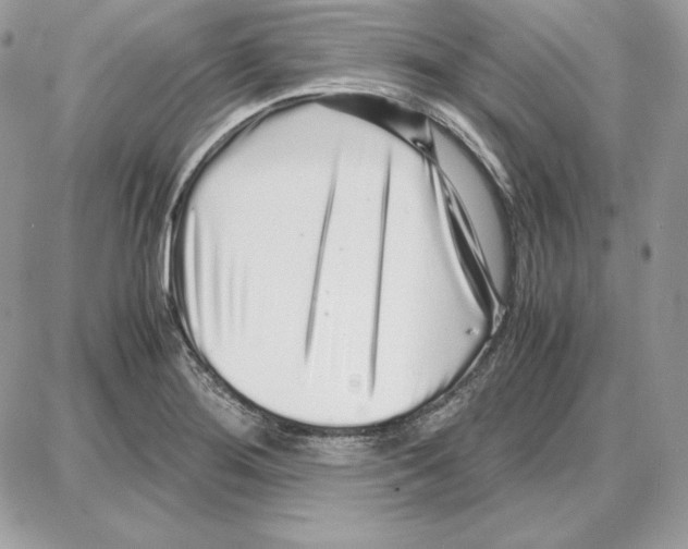 X0000087691276200706011710