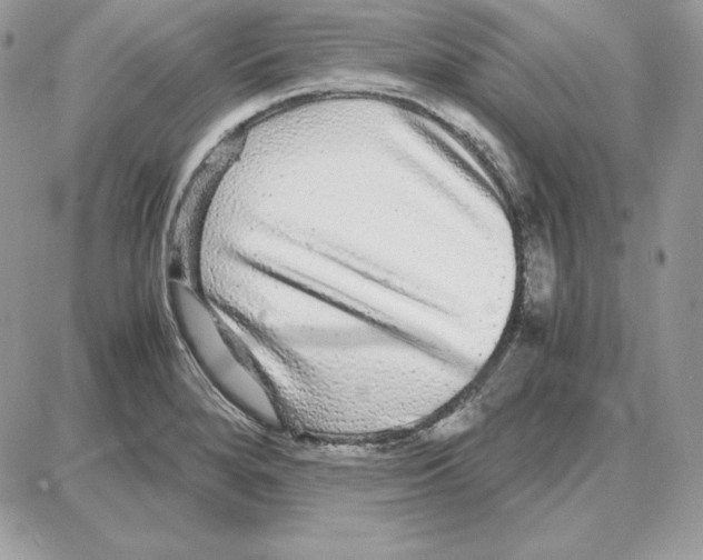 X0000087691280200706011710